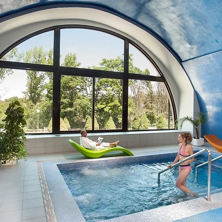 فندق Balneario De Ledesma 3*