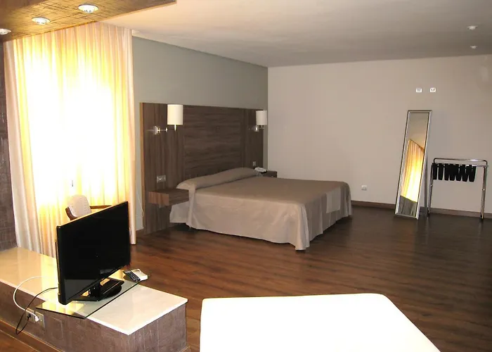 Hotel Balneario De Ledesma 3*